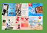 create fb page, manage meta ads, sales through facebook marketing